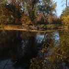 Herbstmorgen am Fluss