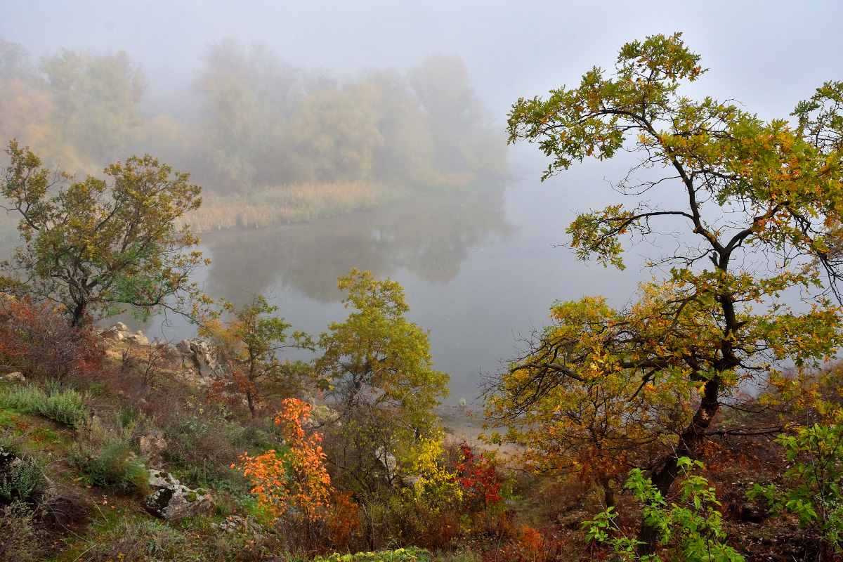 Herbstmorgen am Fluss