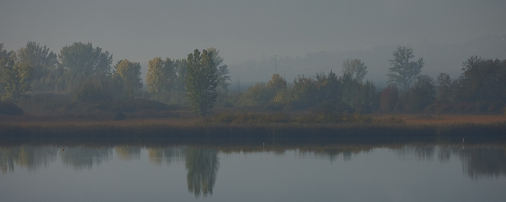 Herbstmorgen am Kalterer See