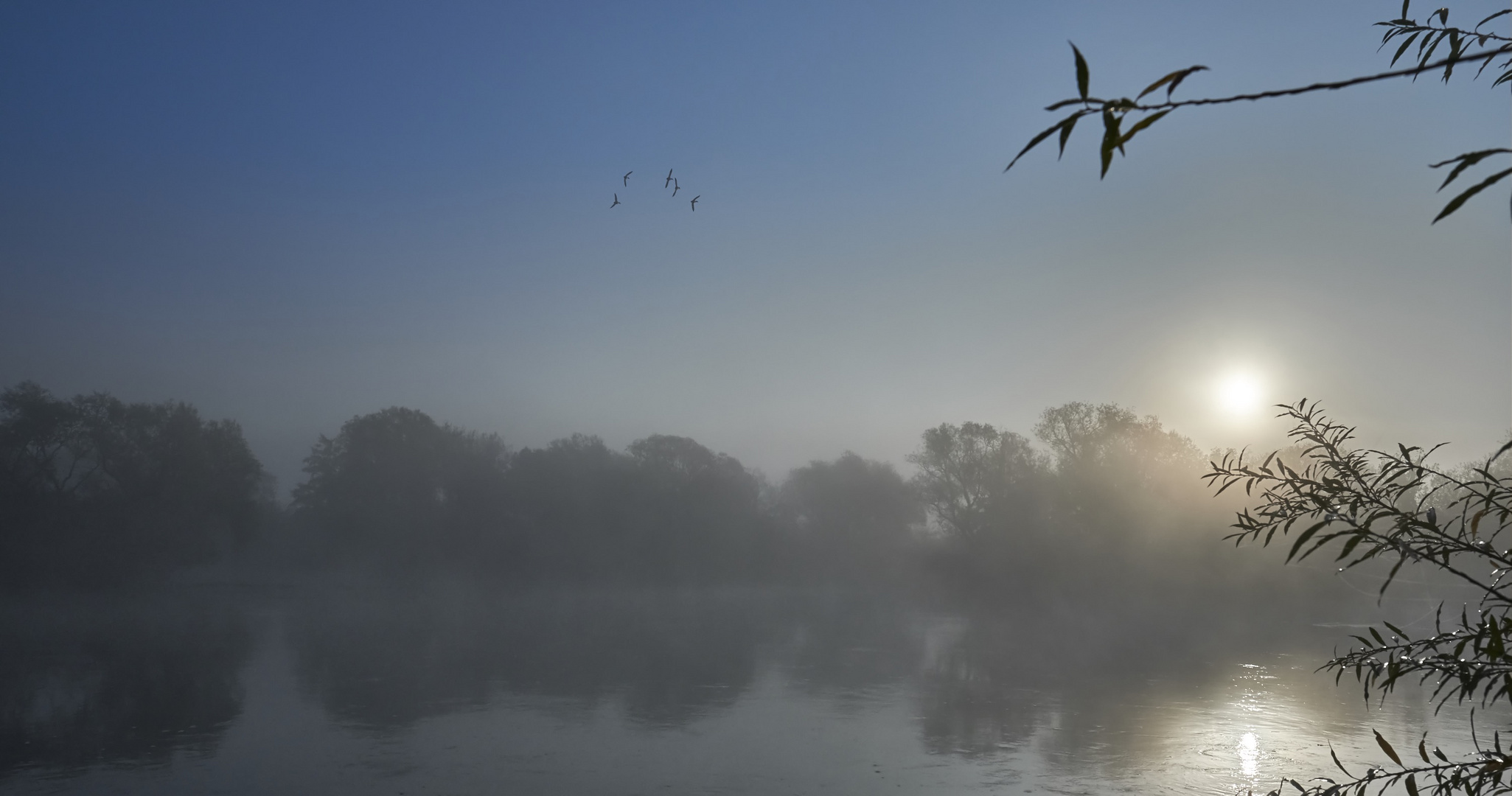 Herbstmorgen am Main