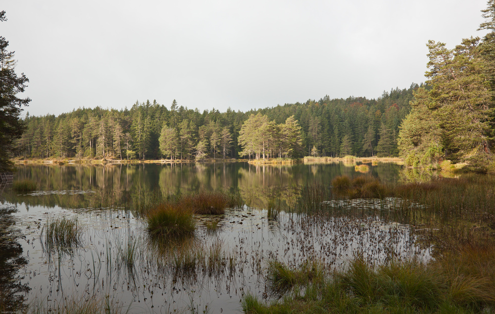 Herbstmorgen am Möserer See