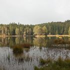 Herbstmorgen am Möserer See