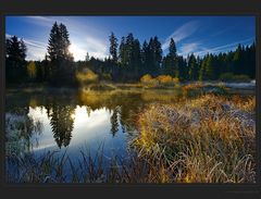 Herbstmorgen am Moorseelein - DRI