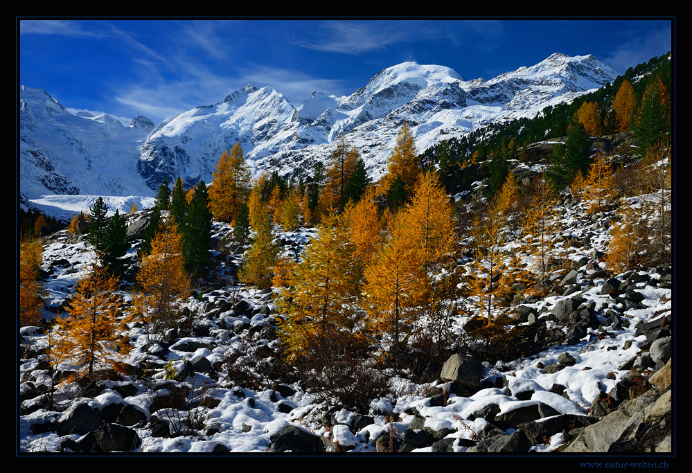 Herbstmorgen am Morteratschgletscher