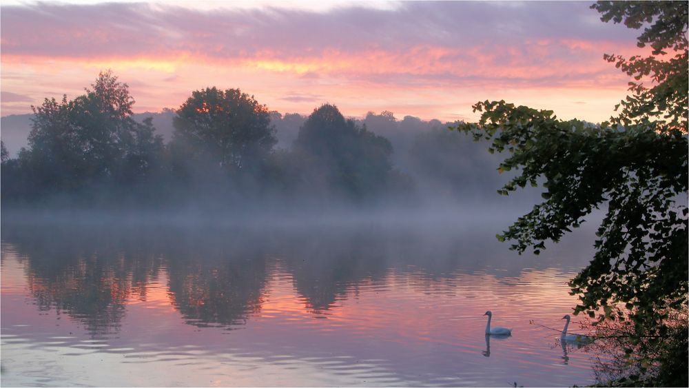 HERBSTMORGEN AM NECKAR