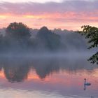 HERBSTMORGEN AM NECKAR