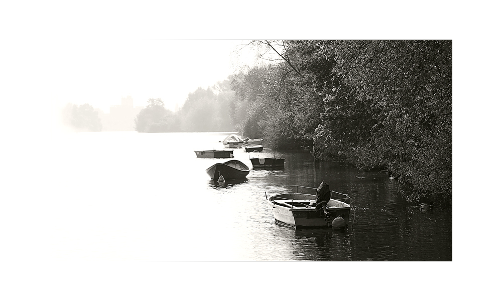 Herbstmorgen am Neckar von Irene Hufnagel