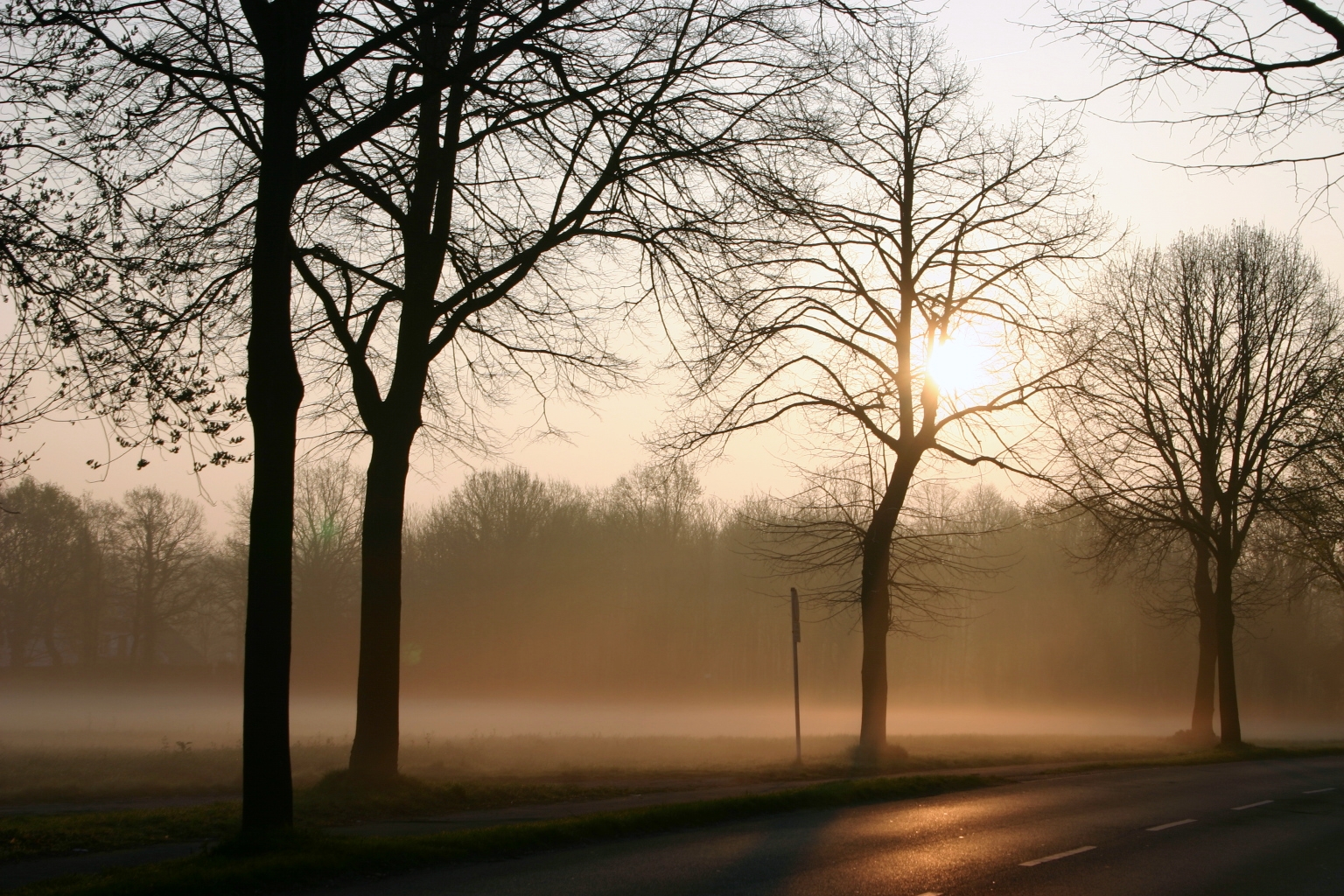 Herbstmorgen am Niederrhein