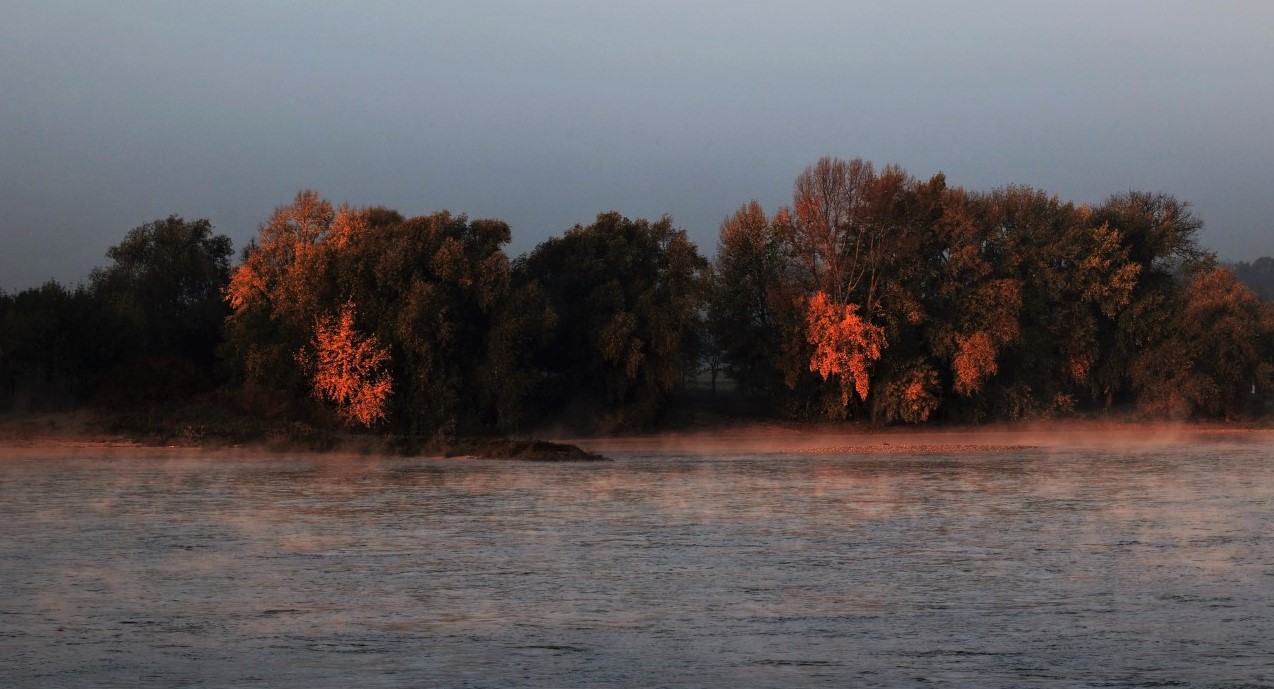 Herbstmorgen am Niederrhein