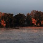 Herbstmorgen am Niederrhein