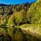 Herbstmorgen am Nonnenmattweiher