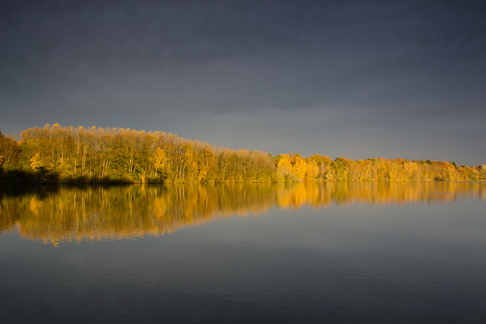 Herbstmorgen am Öjendorfer See II