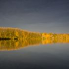 Herbstmorgen am Öjendorfer See II