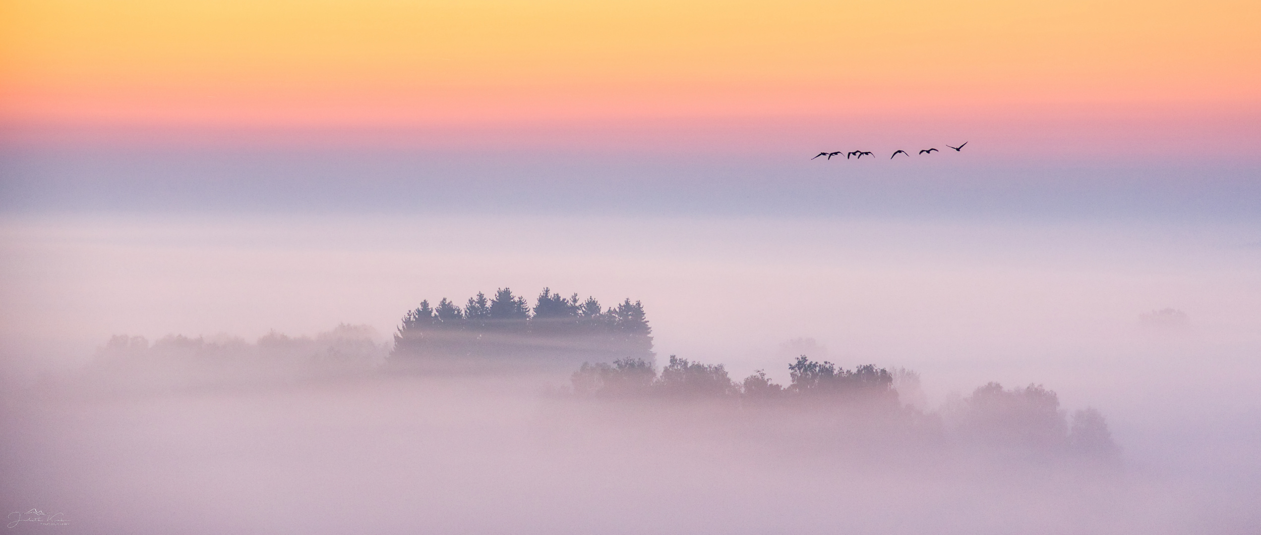 Herbstmorgen am Pfrunger Ried