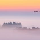 Herbstmorgen am Pfrunger Ried