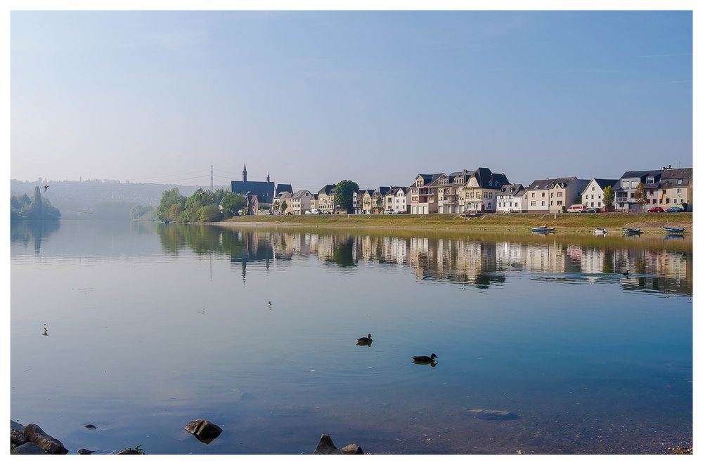 Herbstmorgen am  Rhein