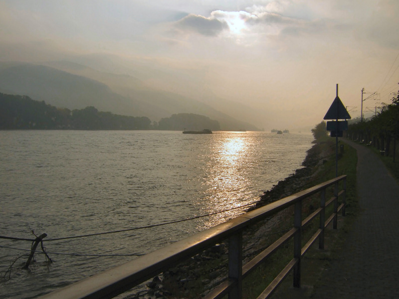 Herbstmorgen am Rhein