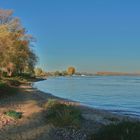 Herbstmorgen am Rhein