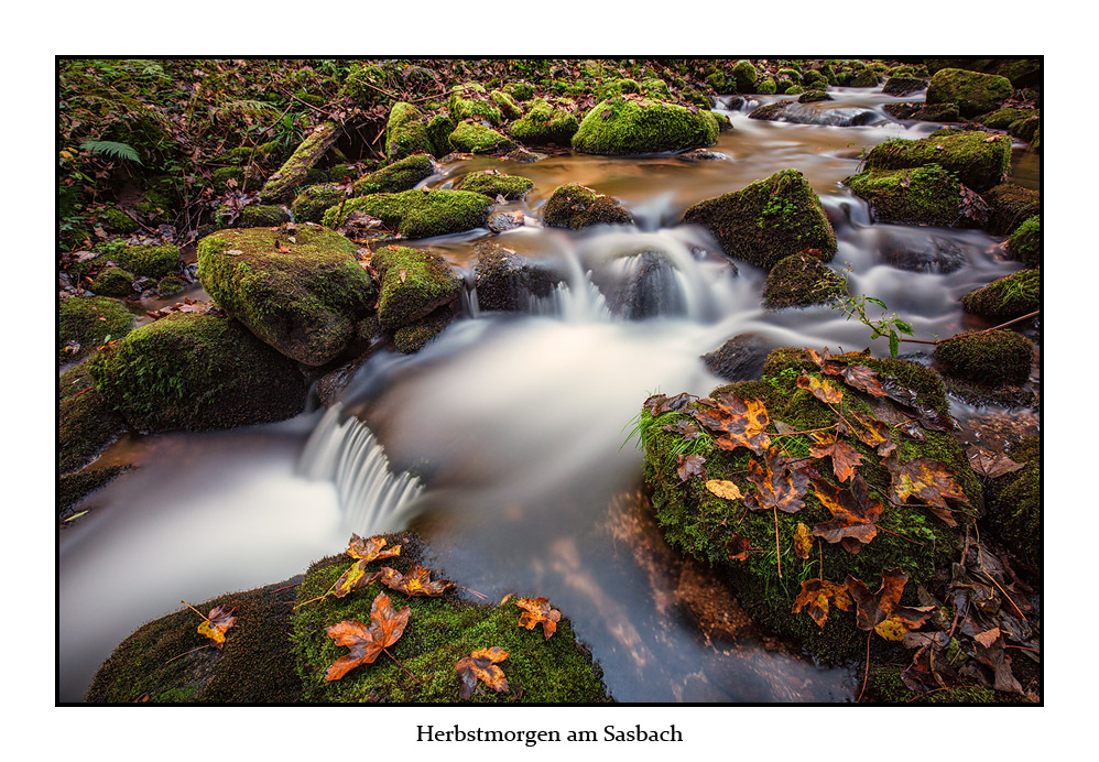 Herbstmorgen am Sasbach