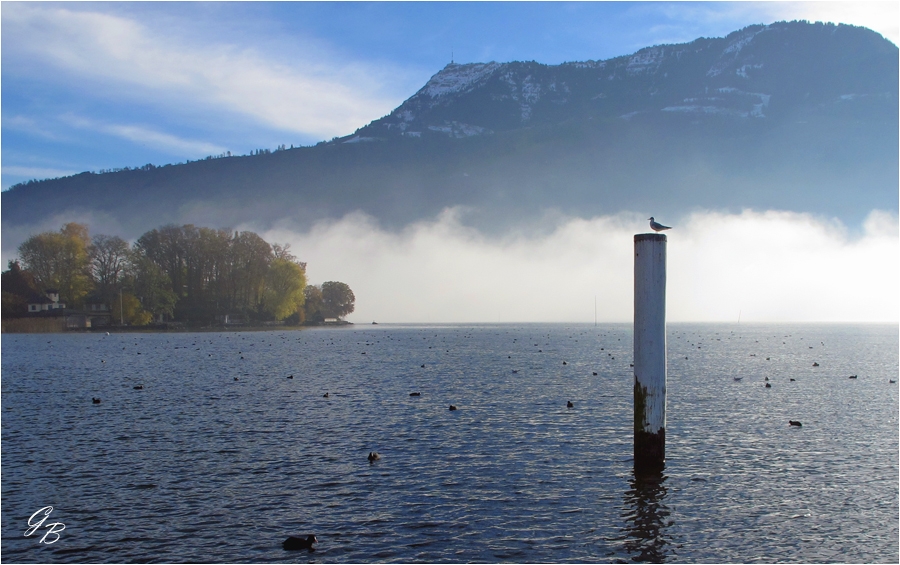 Herbstmorgen am See