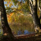 Herbstmorgen am See