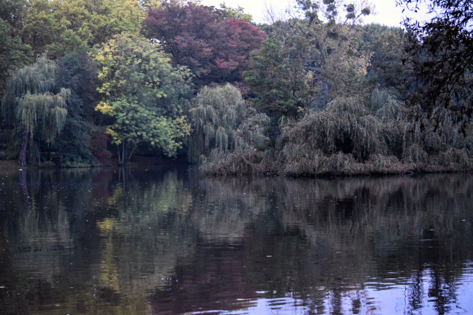 Herbstmorgen am See