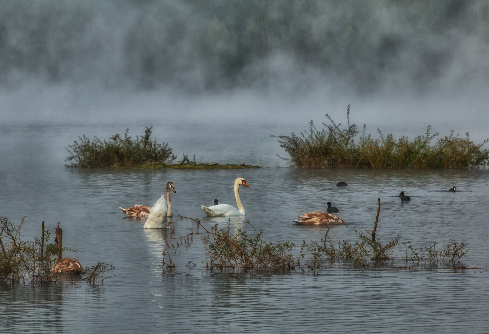 Herbstmorgen am See