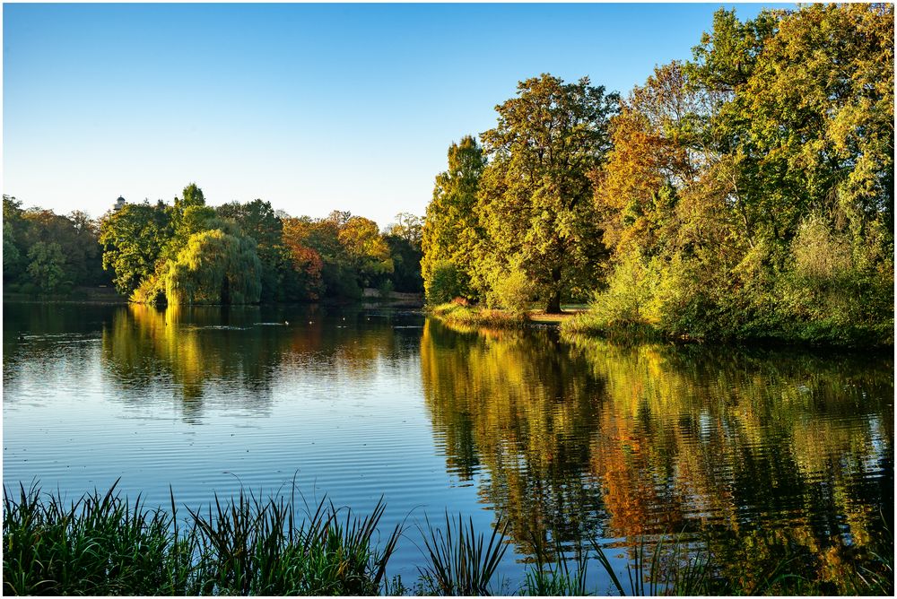 Herbstmorgen am See !