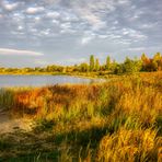 Herbstmorgen am See