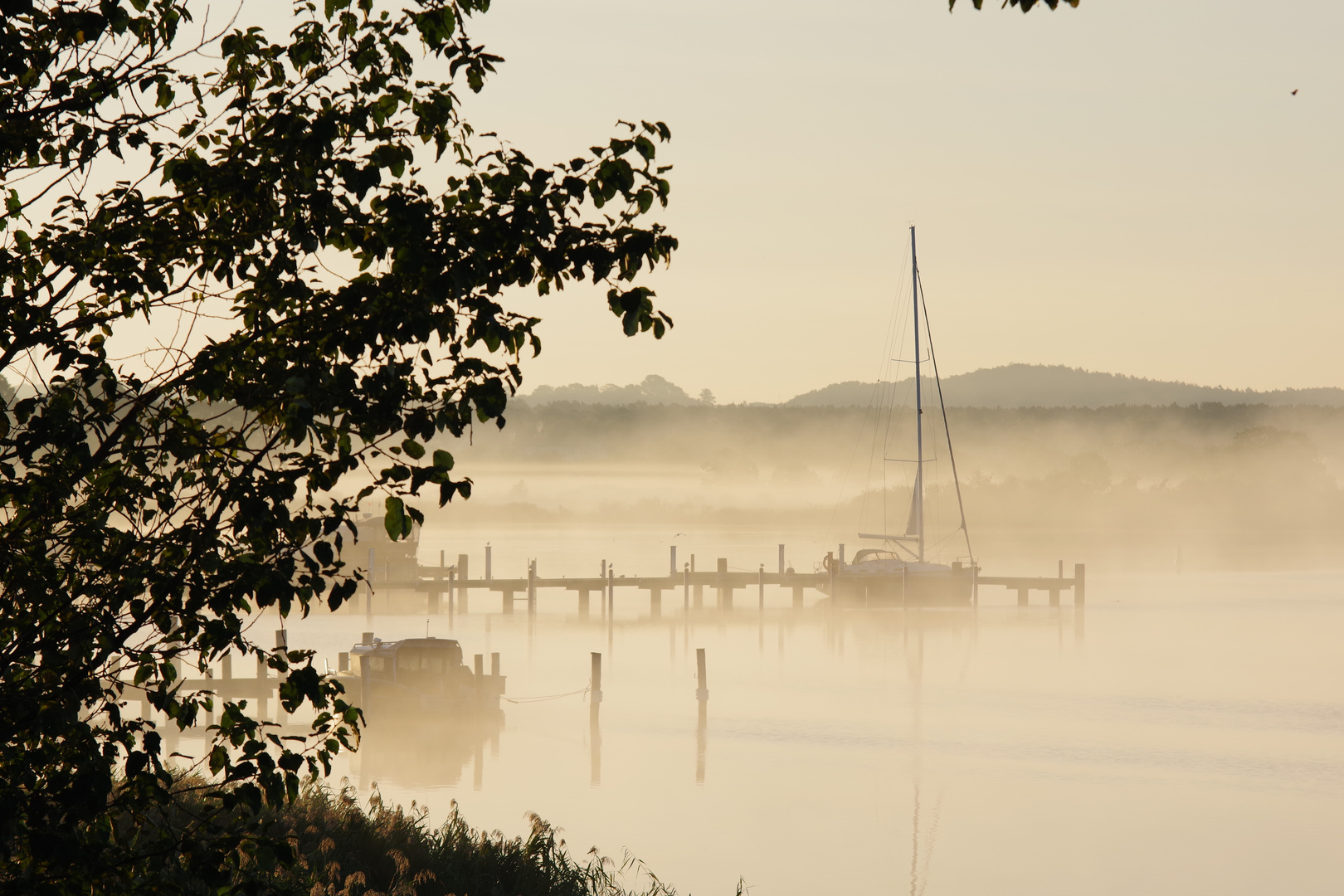 Herbstmorgen am Selliner See