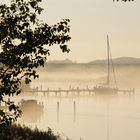 Herbstmorgen am Selliner See
