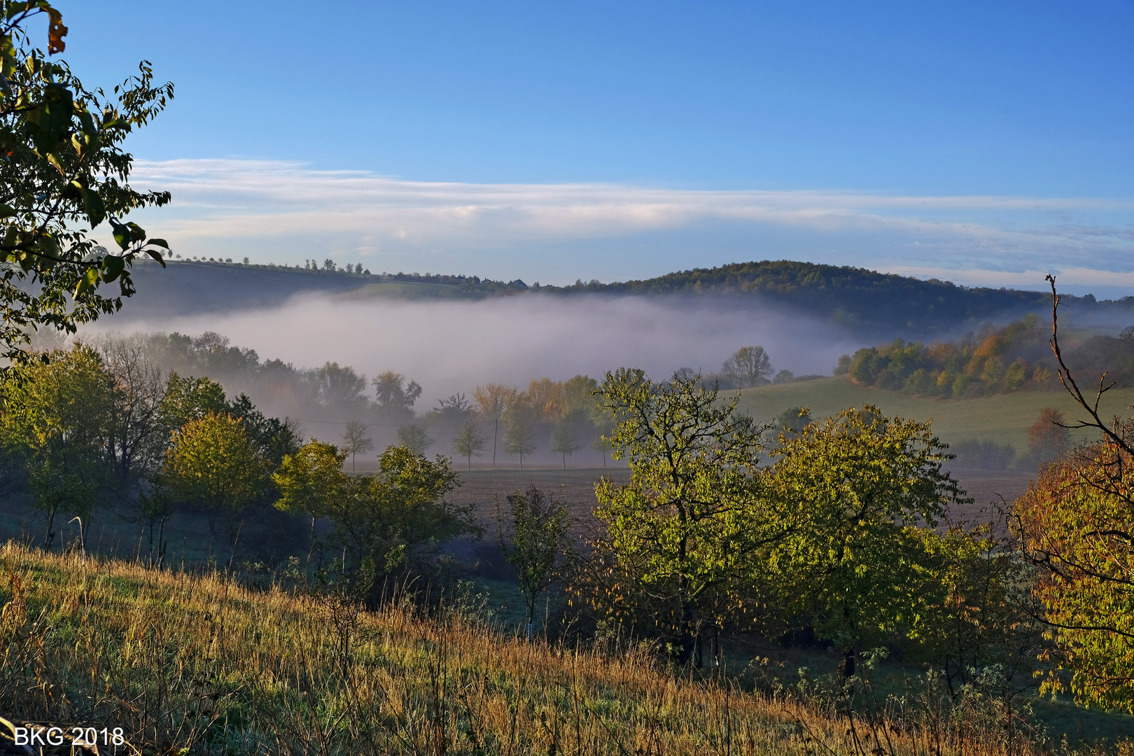 Herbstmorgen am Stadtrand 