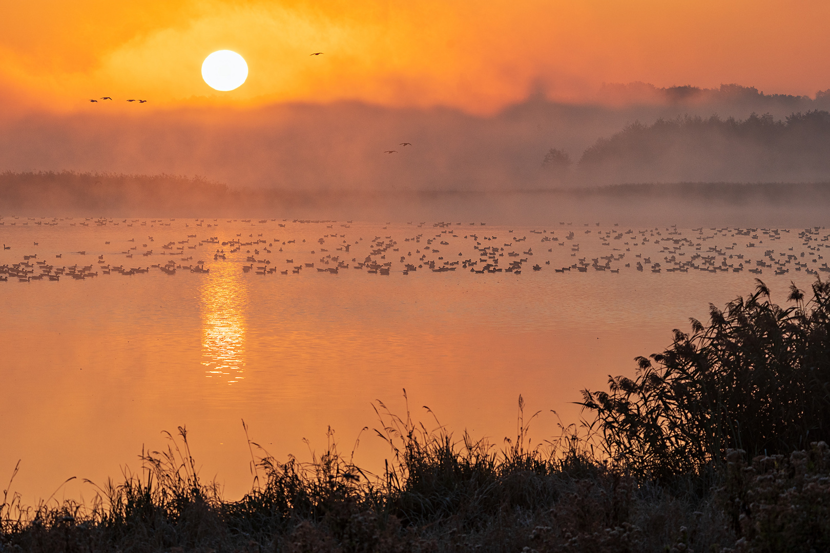 Herbstmorgen am Strengsee