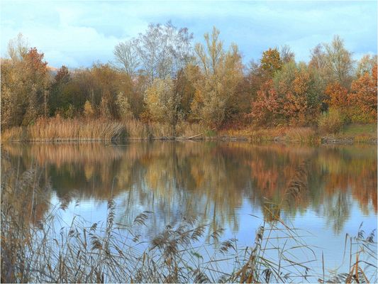 Herbstmorgen am Teich