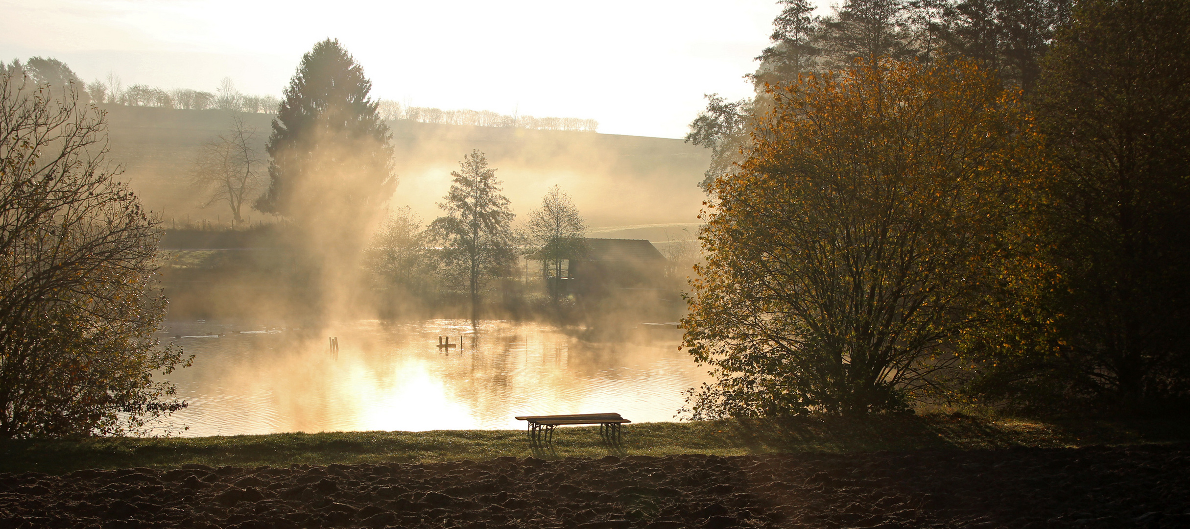 Herbstmorgen am Teich