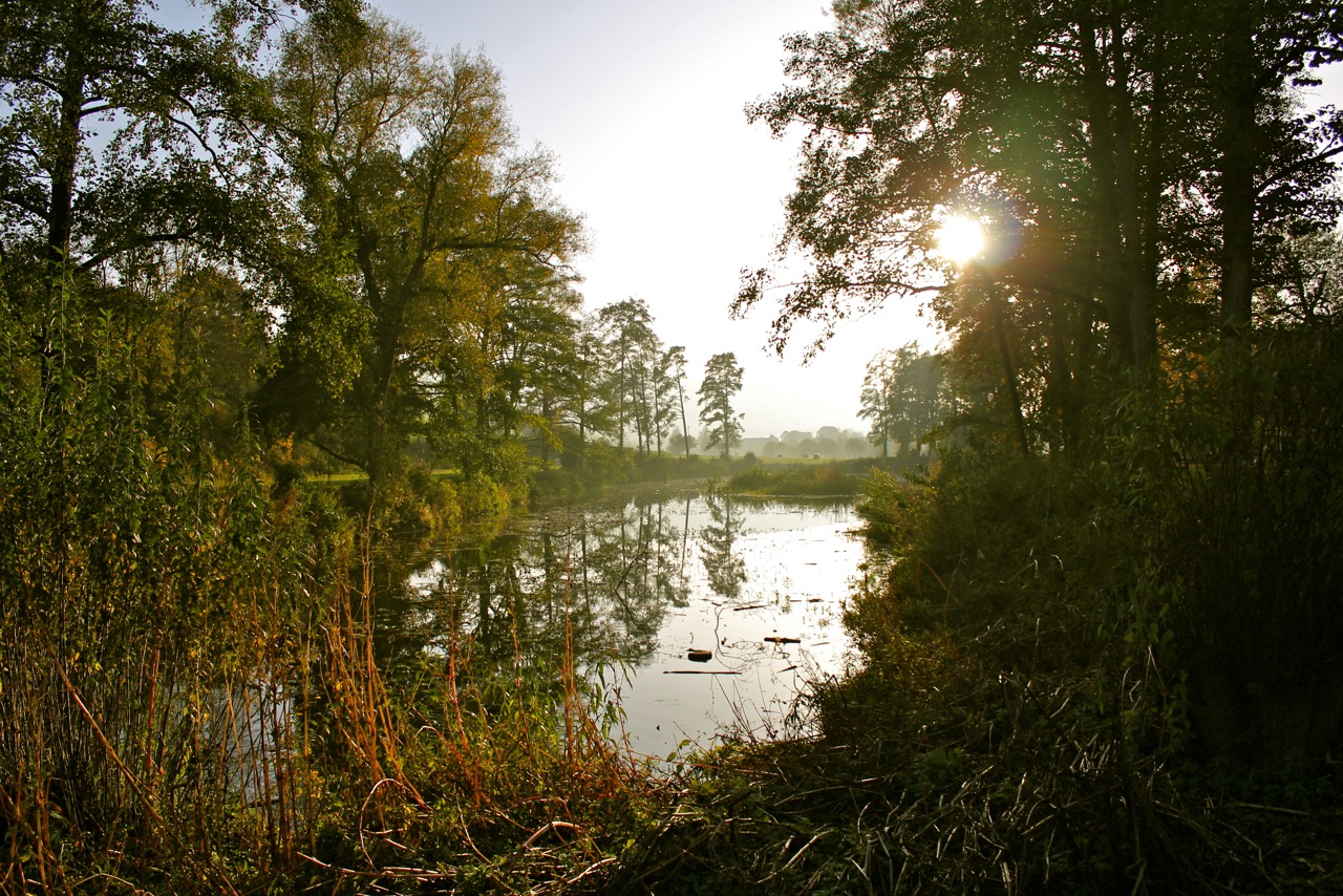 Herbstmorgen am Weiher