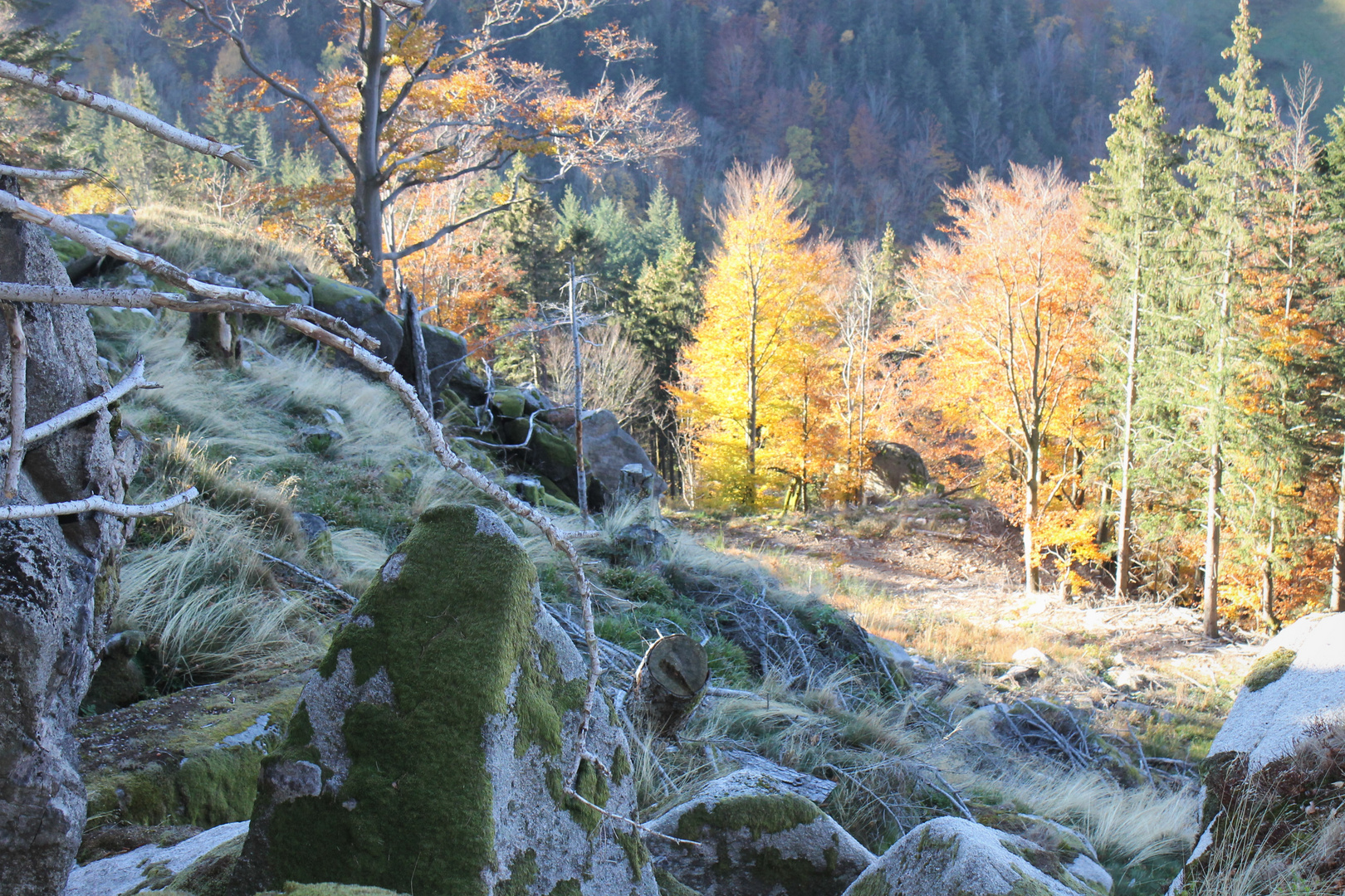 Herbstmorgen an den Felsen