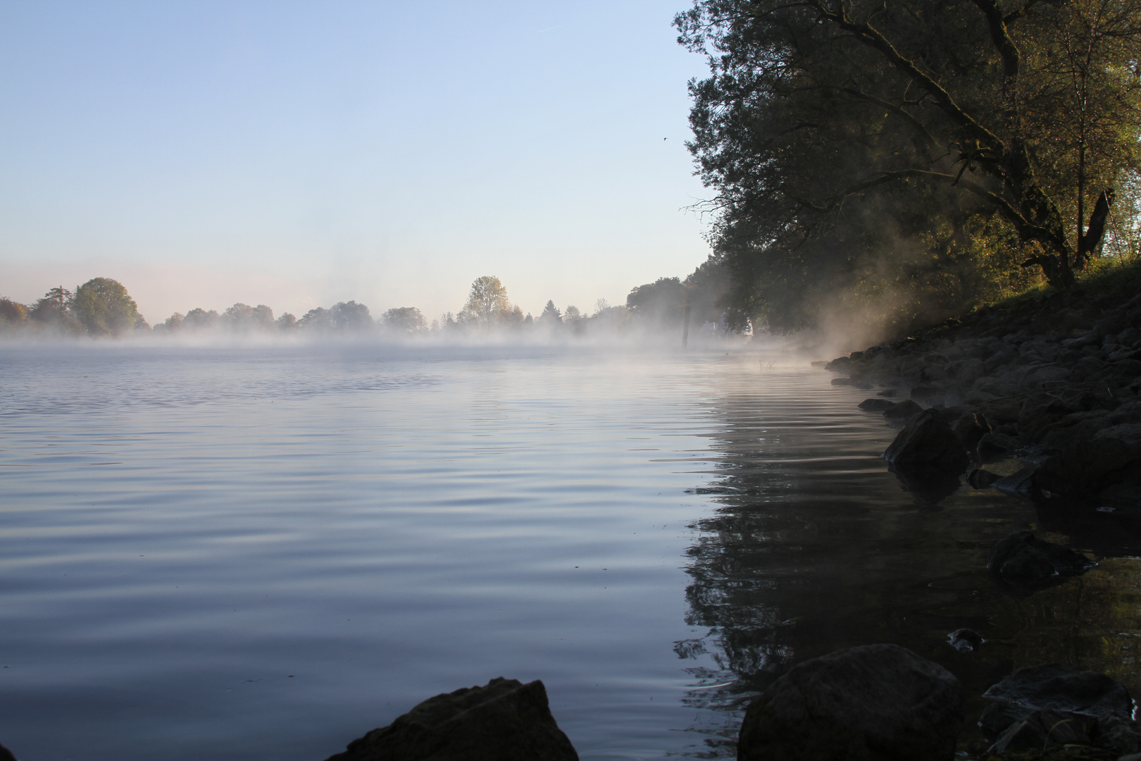 Herbstmorgen an der Aare