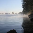 Herbstmorgen an der Aare