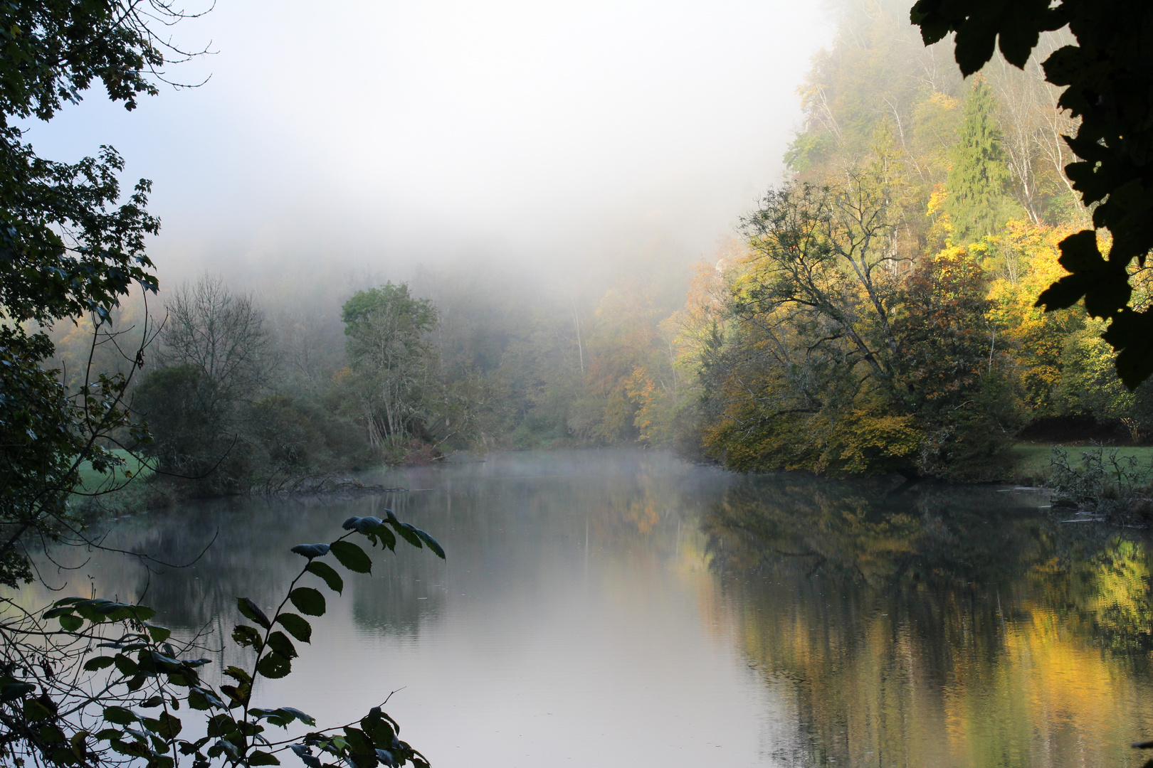 Herbstmorgen an der Donau