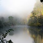 Herbstmorgen an der Donau