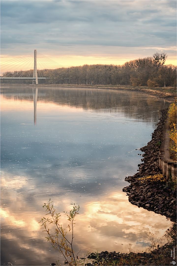 Herbstmorgen an der Elbe (2)