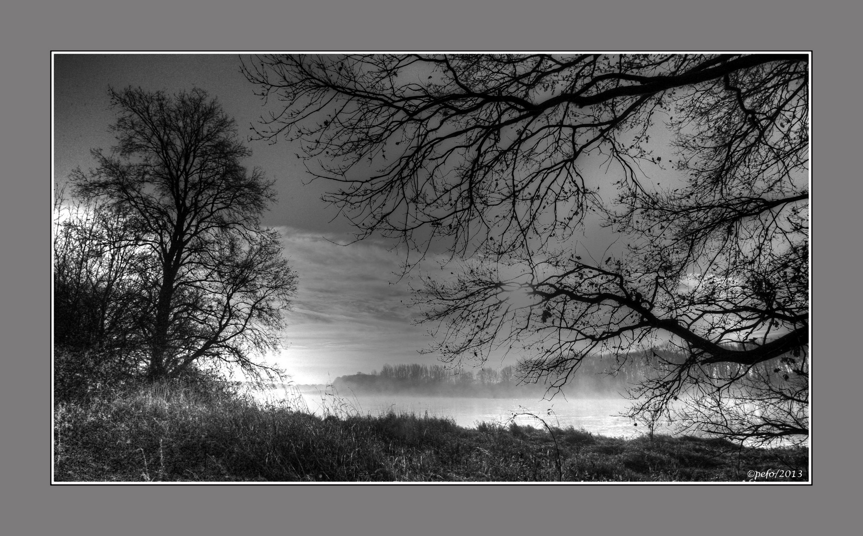 Herbstmorgen an der Elbe