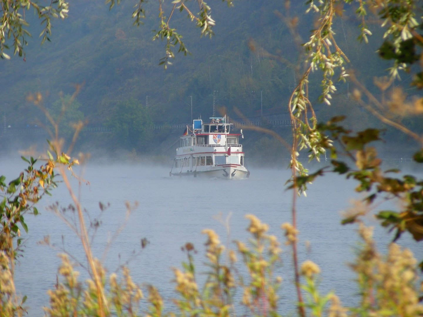 Herbstmorgen an der Mosel