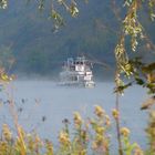 Herbstmorgen an der Mosel