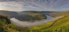 *Herbstmorgen an der Moselschleife bei Kröv*