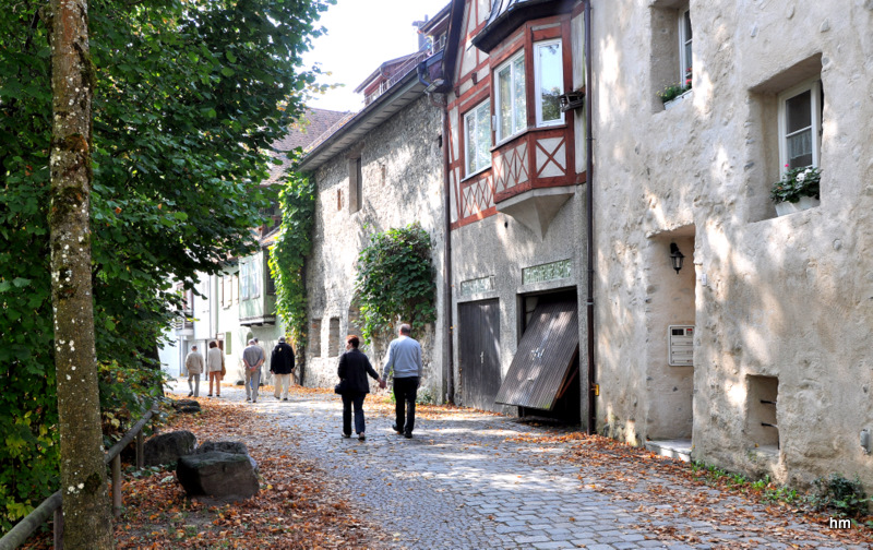 Herbstmorgen an der oberen Argen