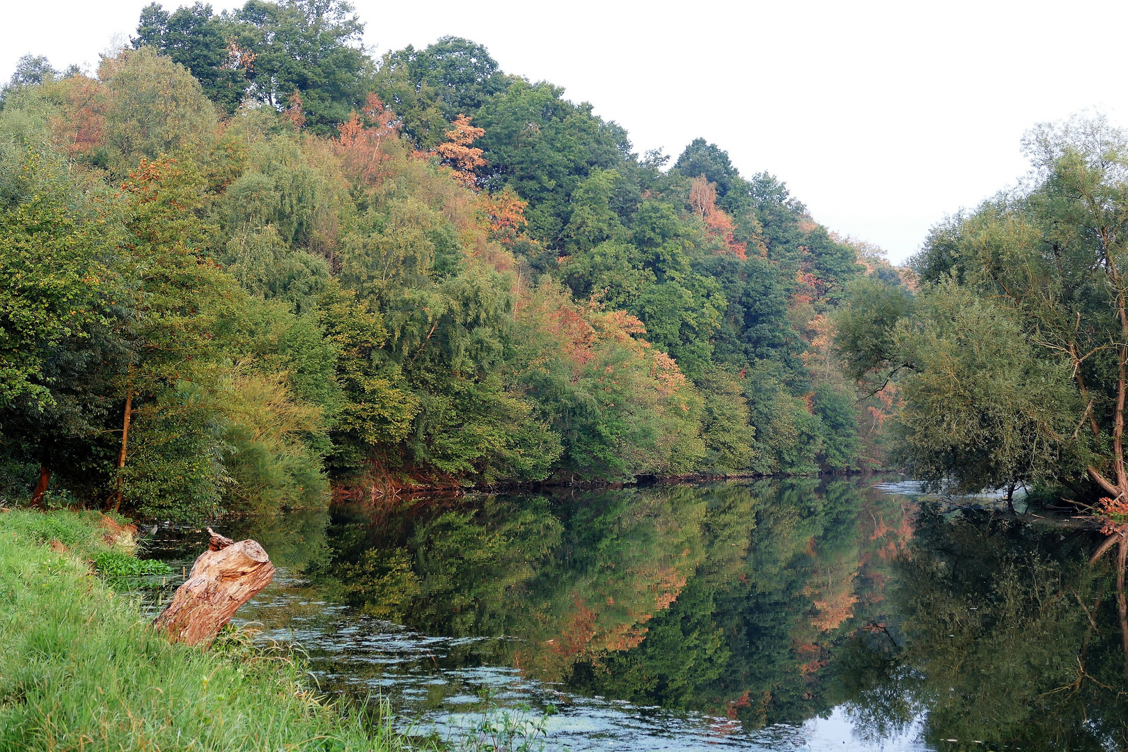 Herbstmorgen an der Ruhr