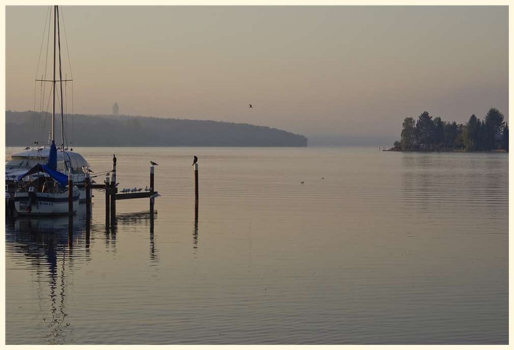 herbstmorgen an der 'scharfen lanke' in spandau