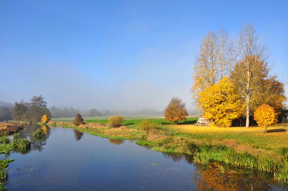 Herbstmorgen an der Schwarzach...